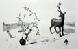 white stag video installation courtesy mark aerial waller and rodeo, drawing 